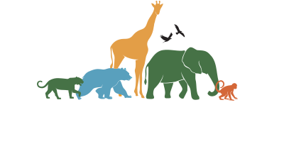 Eco Origins